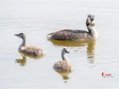 包含?CjP|Z岹B@嬔O;?鹈?ax?\?湞g"x;搩蝋?鴤霤]?姺n輏V聨r:P[(???€w崠	0胄鎥kI?64.枊曜麰c蠑9的词条-LCK赛事竞猜